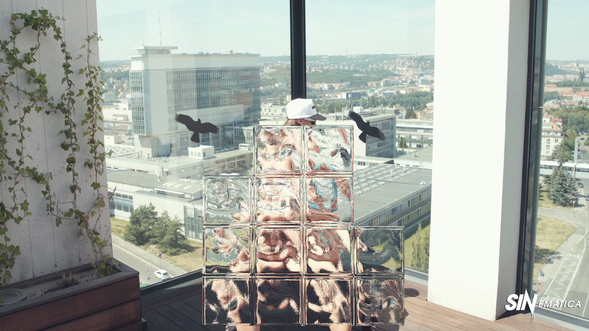 SINematica - Vinna Reed - Roof Top Action