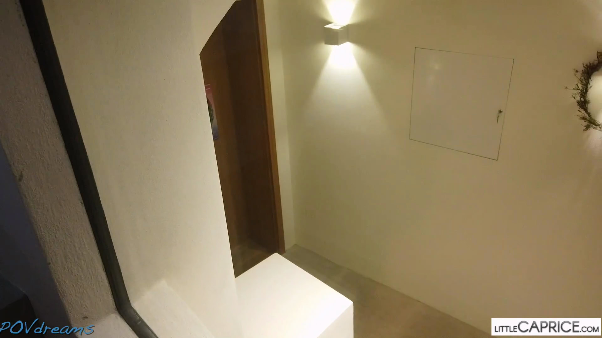 LittleCapriceDreams/POVDreams - Alexis Crystal - Public Sex on the Roof